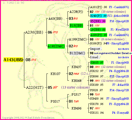 Pedigree of A143(JBB) :
four generations presented