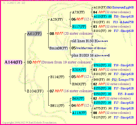 Pedigree of A144(FF) :
four generations presented