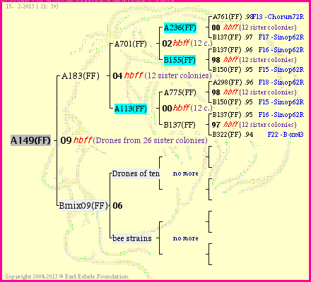 Pedigree of A149(FF) :
four generations presented