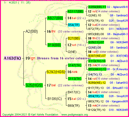 Pedigree of A163(TK) :
four generations presented
it's temporarily unavailable, sorry!