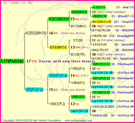 Pedigree of A17(PM)3dr :
four generations presented
it's temporarily unavailable, sorry!