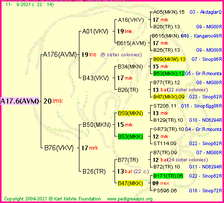 Pedigree of A17.6(AVM) :
four generations presented
it's temporarily unavailable, sorry!