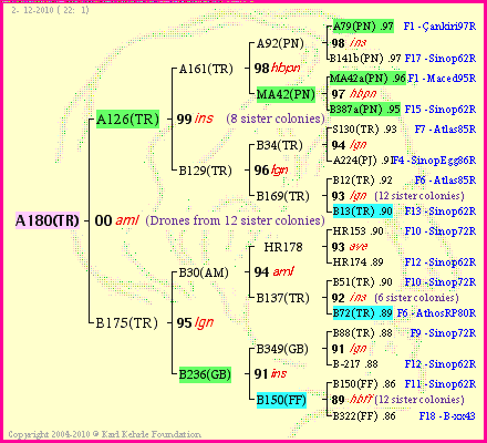 Pedigree of A180(TR) :
four generations presented<br />it's temporarily unavailable, sorry!