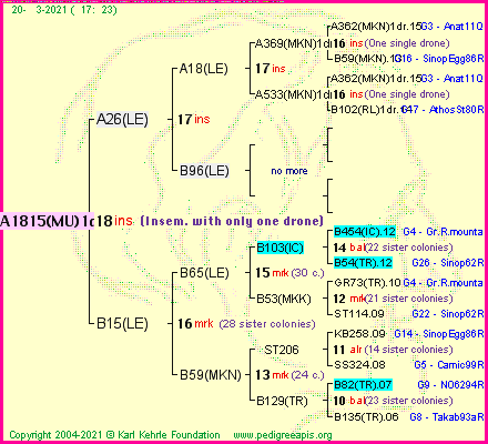 Pedigree of A1815(MU)1dr :
four generations presented
it's temporarily unavailable, sorry!