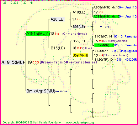 Pedigree of A1915(MU) :
four generations presented
it's temporarily unavailable, sorry!