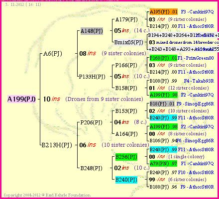 Pedigree of A199(PJ) :
four generations presented