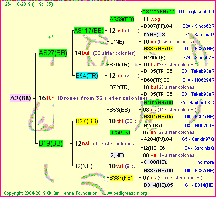 Pedigree of A2(BB) :
four generations presented<br />it's temporarily unavailable, sorry!