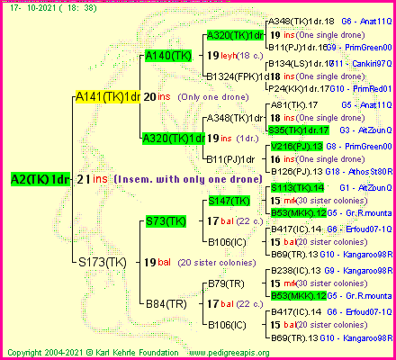 Pedigree of A2(TK)1dr :
four generations presented
it's temporarily unavailable, sorry!