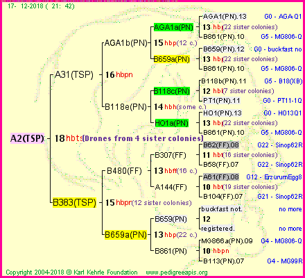 Pedigree of A2(TSP) :
four generations presented
it's temporarily unavailable, sorry!