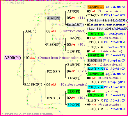 Pedigree of A200(PJ) :
four generations presented