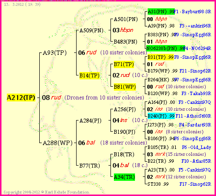 Pedigree of A212(TP) :
four generations presented