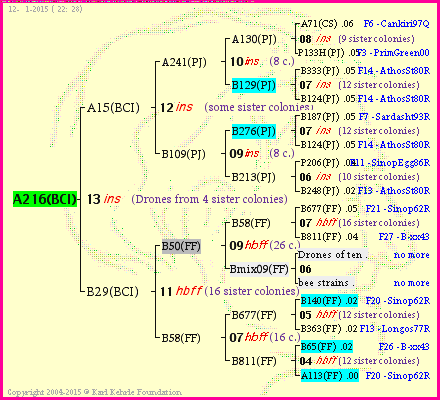 Pedigree of A216(BCI) :
four generations presented