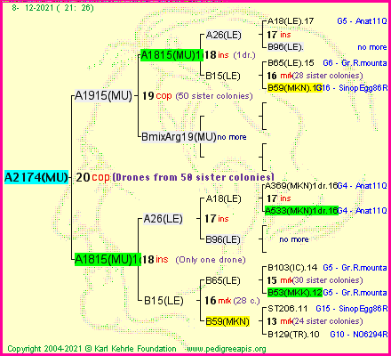 Pedigree of A2174(MU) :
four generations presented
it's temporarily unavailable, sorry!