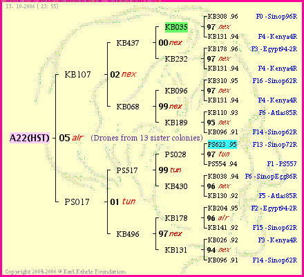 Pedigree of A22(HST) :
four generations presented