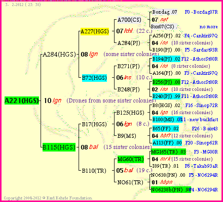 Pedigree of A221(HGS) :
four generations presented
it's temporarily unavailable, sorry!