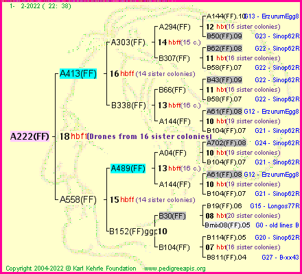 Pedigree of A222(FF) :
four generations presented
it's temporarily unavailable, sorry!