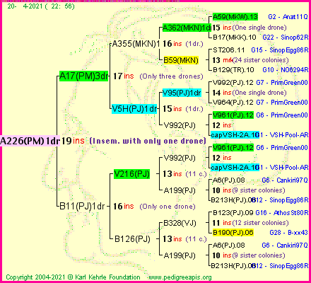 Pedigree of A226(PM)1dr :
four generations presented
it's temporarily unavailable, sorry!