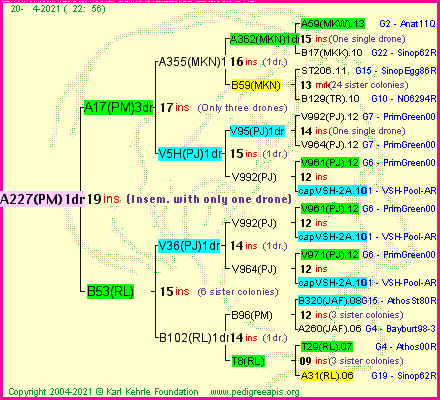 Pedigree of A227(PM)1dr :
four generations presented
it's temporarily unavailable, sorry!