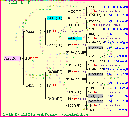 Pedigree of A232(FF) :
four generations presented
it's temporarily unavailable, sorry!