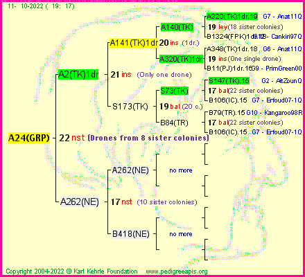 Pedigree of A24(GRP) :
four generations presented
it's temporarily unavailable, sorry!