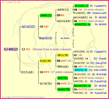 Pedigree of A248(SZ) :
four generations presented