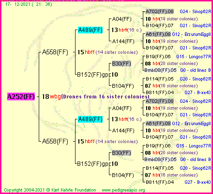 Pedigree of A252(FF) :
four generations presented
it's temporarily unavailable, sorry!