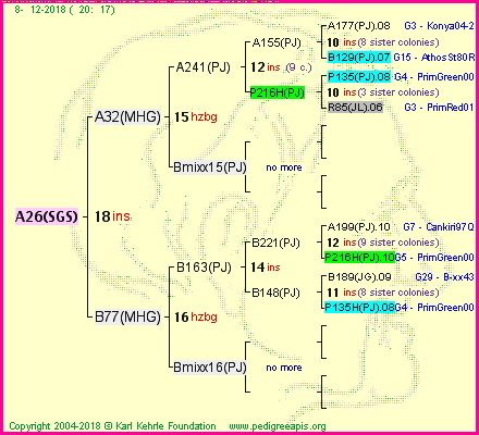 Pedigree of A26(SGS) :
four generations presented
it's temporarily unavailable, sorry!