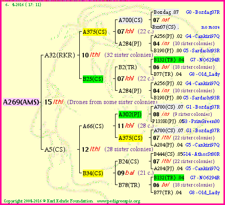 Pedigree of A269(AMS) :
four generations presented