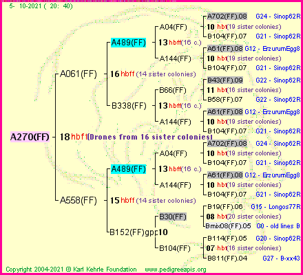 Pedigree of A270(FF) :
four generations presented
it's temporarily unavailable, sorry!