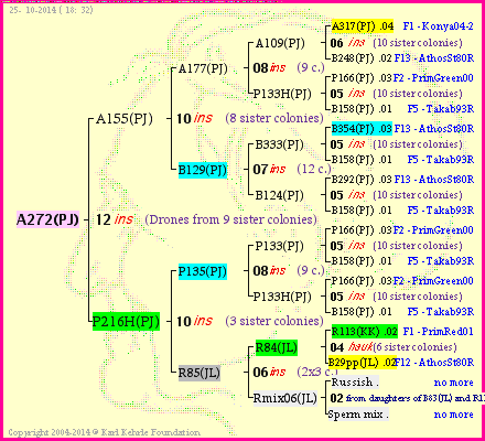 Pedigree of A272(PJ) :
four generations presented