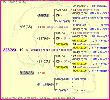 Pedigree of A28(AS) :
four generations presented
it's temporarily unavailable, sorry!