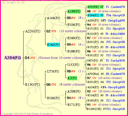 Pedigree of A284(PJ) :
four generations presented<br />it's temporarily unavailable, sorry!
