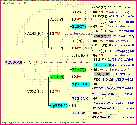 Pedigree of A289(PJ) :
four generations presented<br />it's temporarily unavailable, sorry!