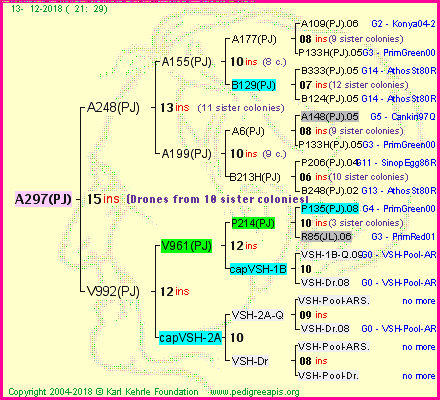 Pedigree of A297(PJ) :
four generations presented<br />it's temporarily unavailable, sorry!