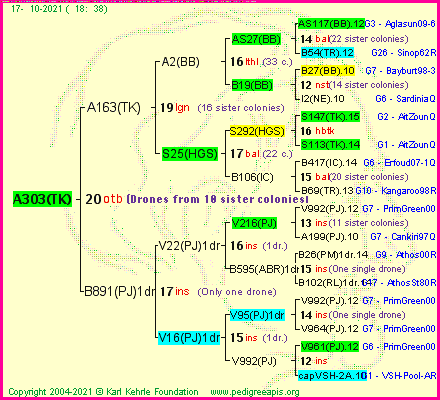 Pedigree of A303(TK) :
four generations presented
it's temporarily unavailable, sorry!