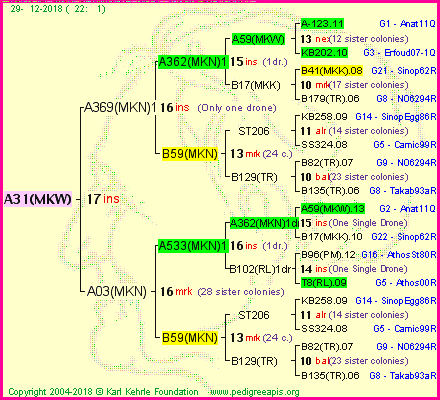 Pedigree of A31(MKW) :
four generations presented<br />it's temporarily unavailable, sorry!