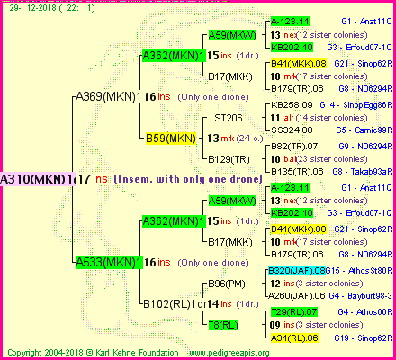 Pedigree of A310(MKN)1dr :
four generations presented<br />it's temporarily unavailable, sorry!