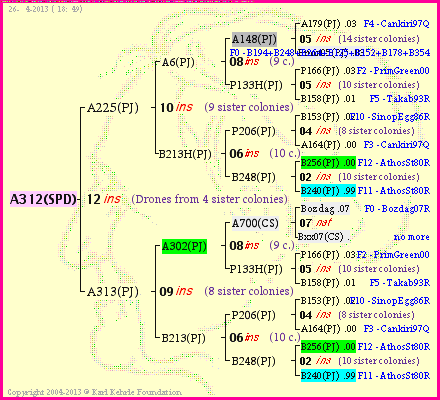 Pedigree of A312(SPD) :
four generations presented<br />it's temporarily unavailable, sorry!