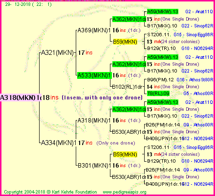 Pedigree of A318(MKN)1dr :
four generations presented<br />it's temporarily unavailable, sorry!