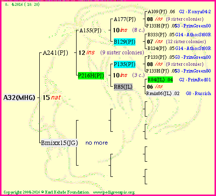 Pedigree of A32(MHG) :
four generations presented<br />it's temporarily unavailable, sorry!