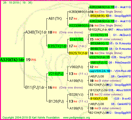 Pedigree of A320(TK)1dr :
four generations presented
it's temporarily unavailable, sorry!