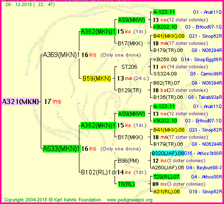 Pedigree of A321(MKN) :
four generations presented<br />it's temporarily unavailable, sorry!