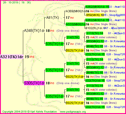 Pedigree of A321(TK)1dr :
four generations presented<br />it's temporarily unavailable, sorry!