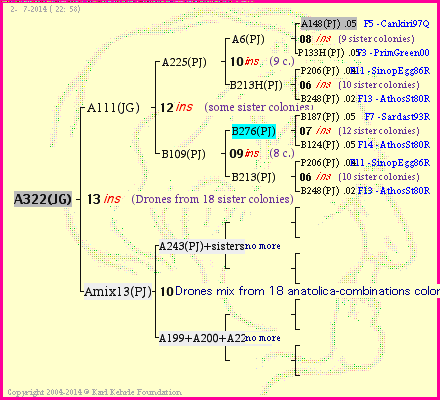 Pedigree of A322(JG) :
four generations presented