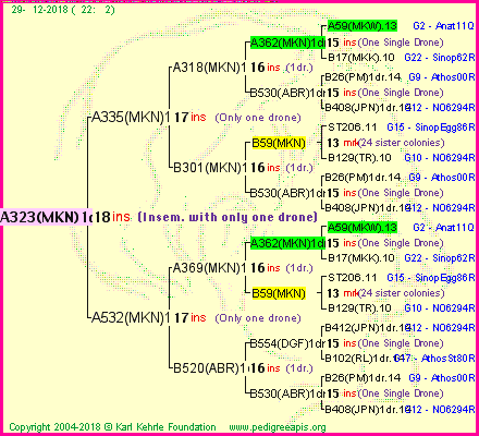 Pedigree of A323(MKN)1dr :
four generations presented<br />it's temporarily unavailable, sorry!