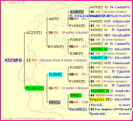 Pedigree of A325(PJ) :
four generations presented