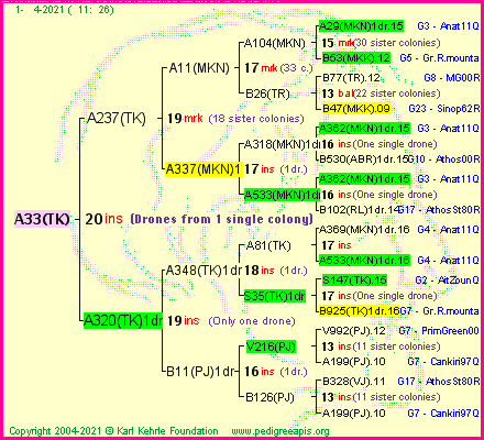 Pedigree of A33(TK) :
four generations presented
it's temporarily unavailable, sorry!