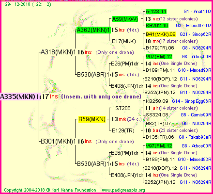 Pedigree of A335(MKN)1dr :
four generations presented<br />it's temporarily unavailable, sorry!