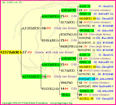 Pedigree of A337(MKN)1dr :
four generations presented
it's temporarily unavailable, sorry!