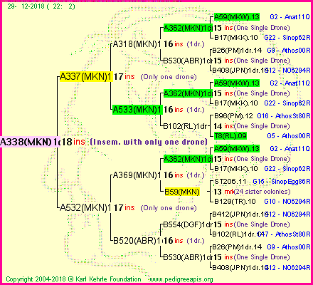 Pedigree of A338(MKN)1dr :
four generations presented<br />it's temporarily unavailable, sorry!